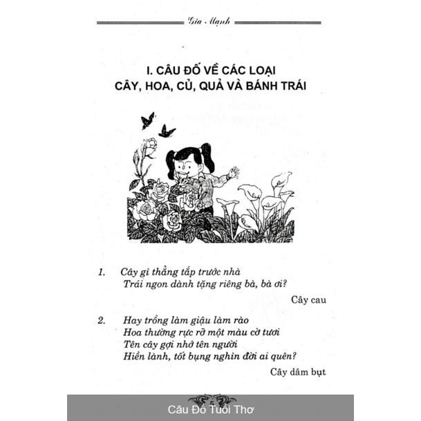 Sách - Câu đố tuổi thơ