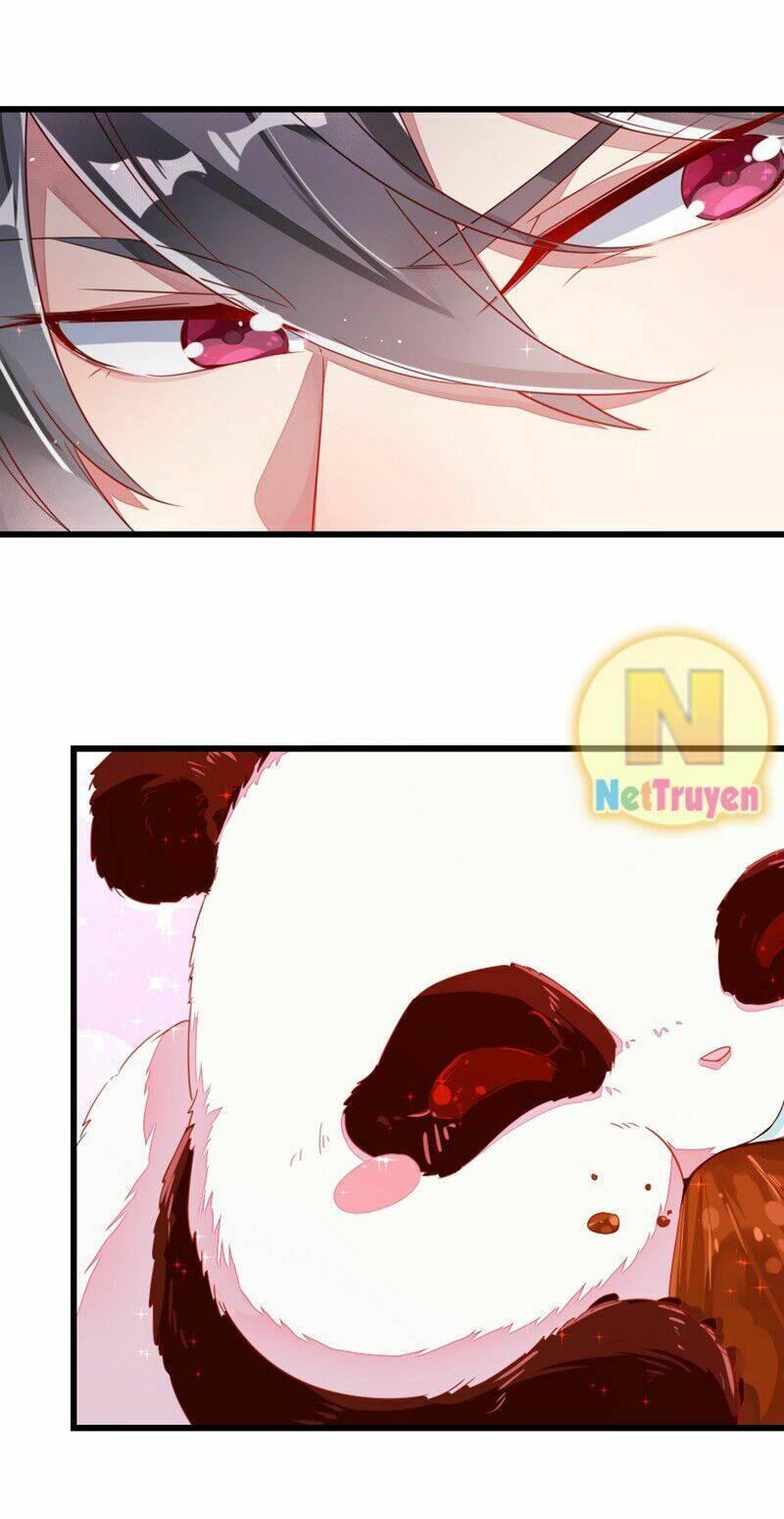 thiên thần gấu trúc muốn được ôm chapter 12 5