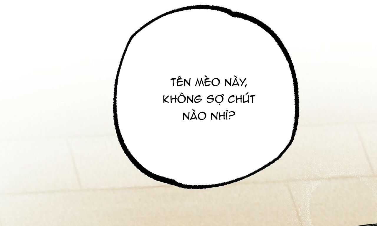 đàn thỏ của habibi chapter 30 240