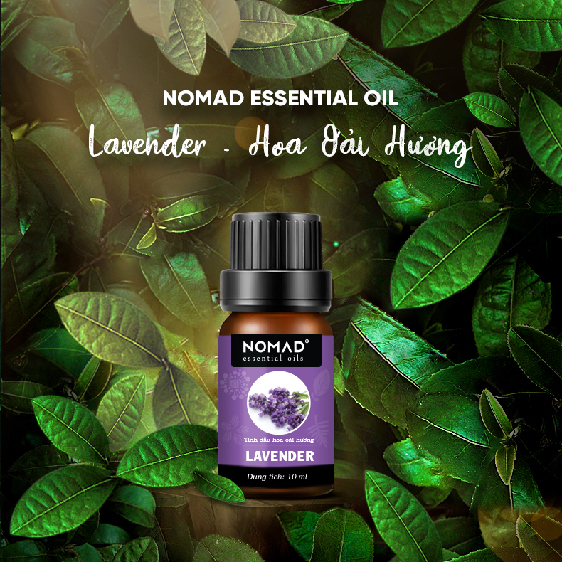 Combo 3 Tinh Dầu Nguyên Chất Nomad: Tinh Dầu Hoa Oải Hương + Tinh Dầu Vỏ Chanh + Tinh Dầu Sả Tươi