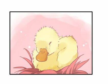 lều khều biết yêu chapter 11 2