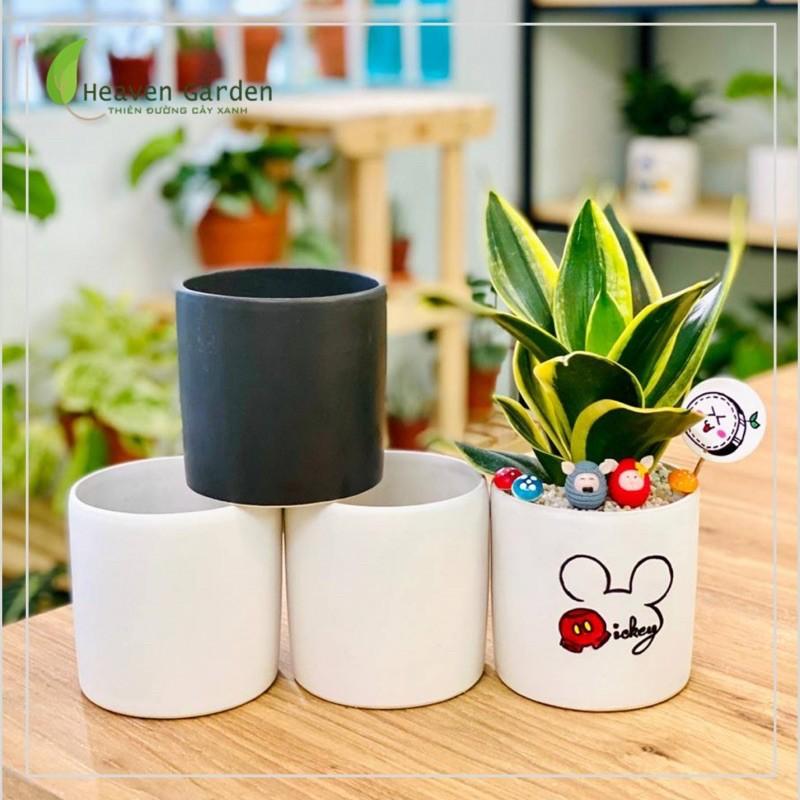 Chậu men trụ trồng cây - dể bàn văn phòng