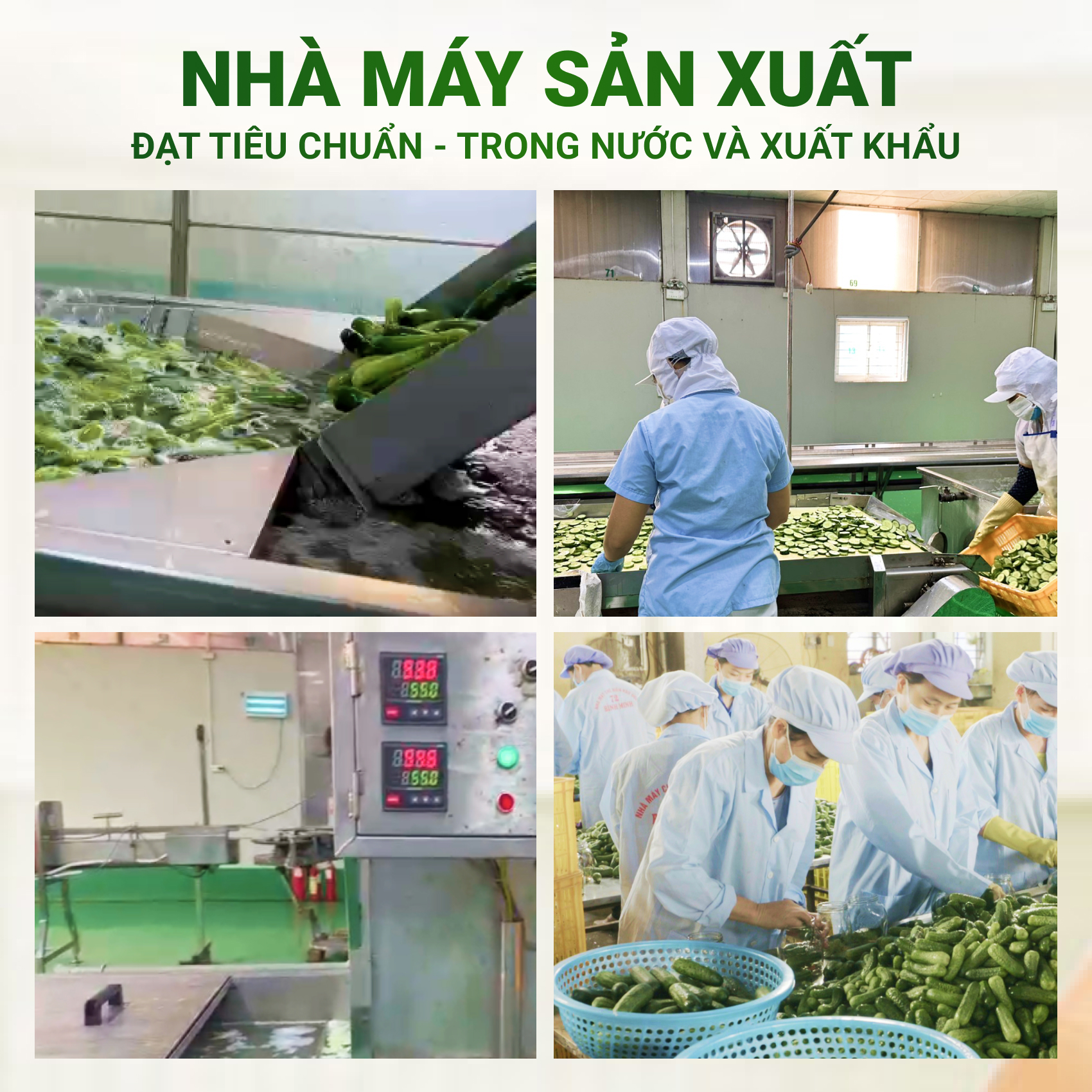 Dưa Chuột Bao Tử Cắt Lát Ngâm F&amp;G Food , Lon 565gr Ăn Kèm Thịt Nướng, Làm Gỏi Trộn