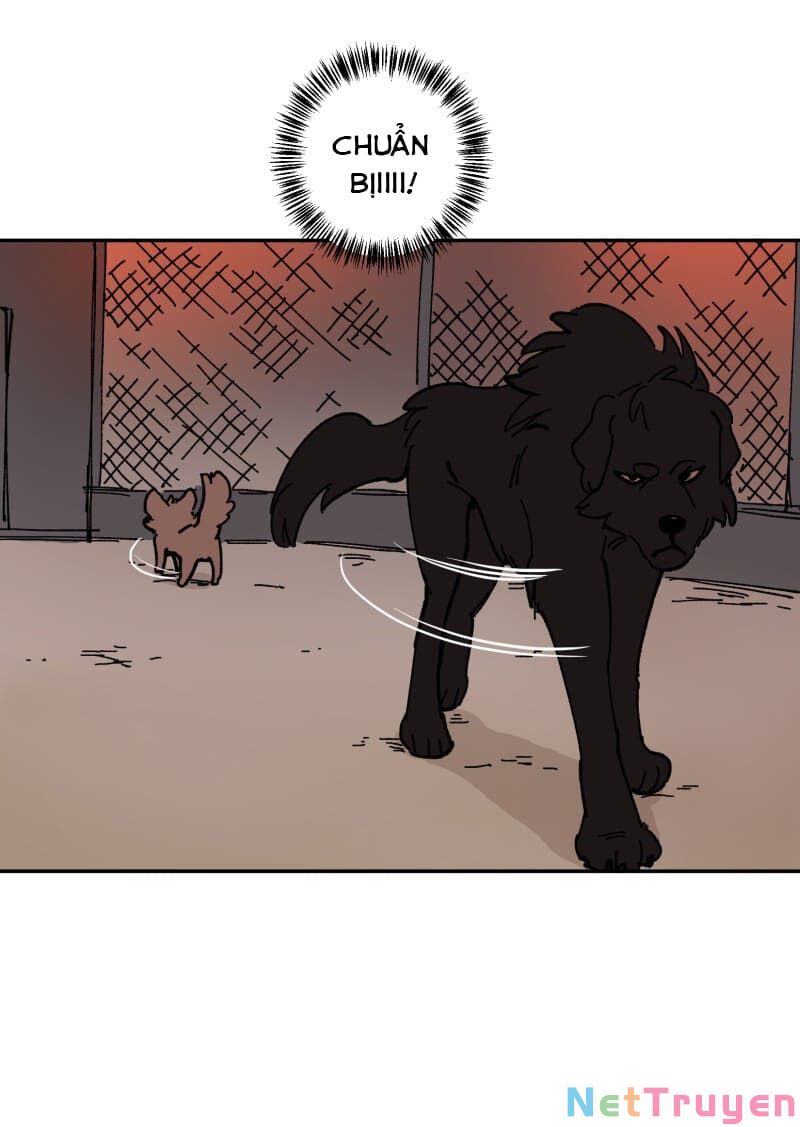 lumine - cội nguồn ánh sáng chapter 113 28