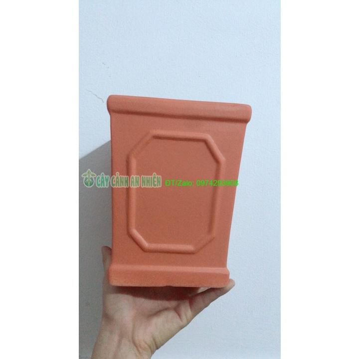 Chậu Đất Nung Trồng Cây
