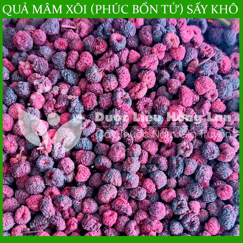100G Phúc Bổn Tử sấy khô thượng hạng loại 1