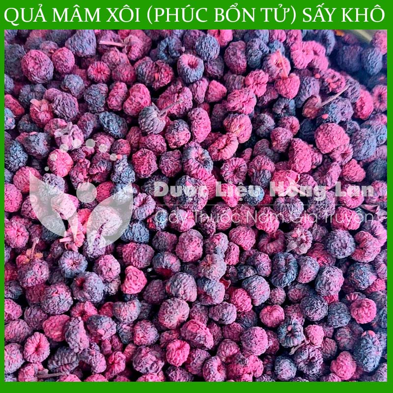 100G Phúc Bổn Tử (Quả Mâm Xôi) sấy khô thượng hạng loại 1