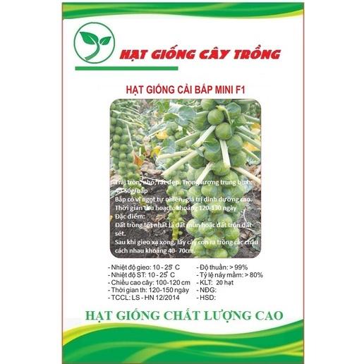 Hạt giống bắp cải tí hon xanh CT1 - Gói 20 hạt