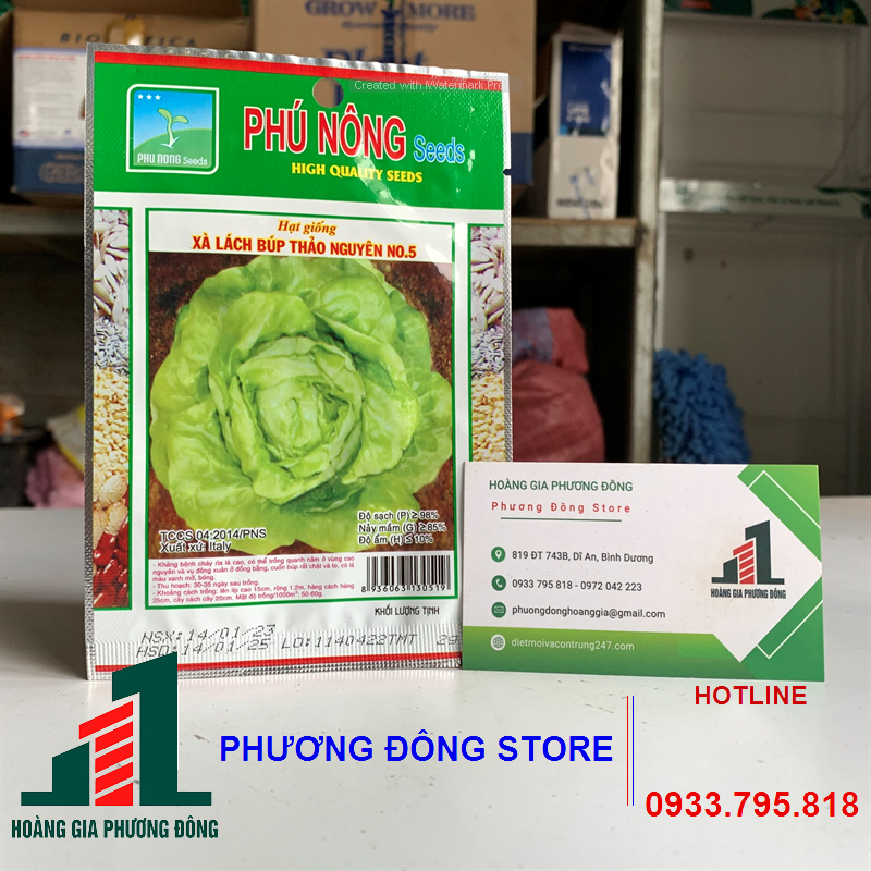 Combo 5-10 gói hạt giống rau xà lách búp Thảo Nguyên năng suất cao , dễ trồng
