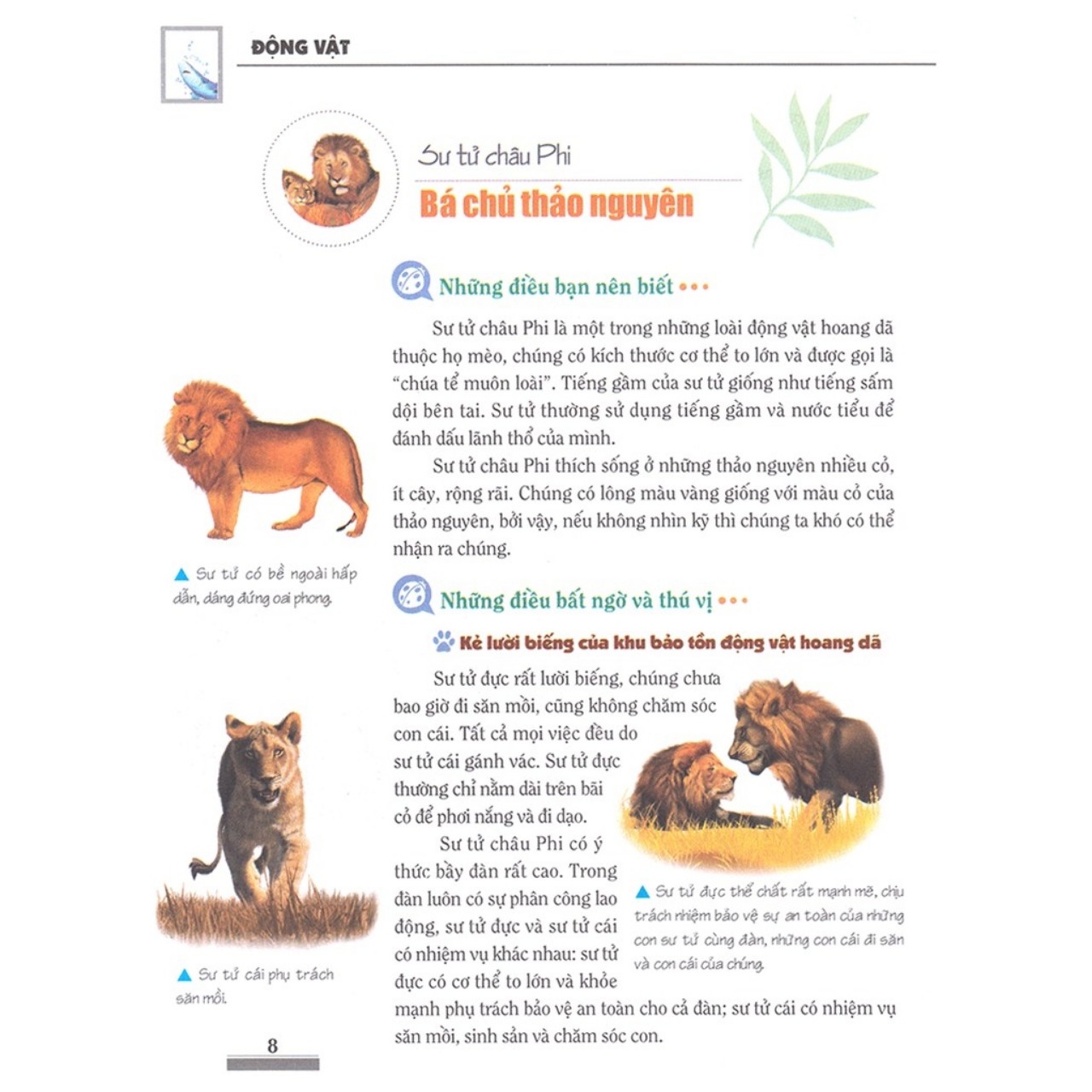 Combo: Khám Phá Bí Ẩn Thế Giới Tự Nhiên