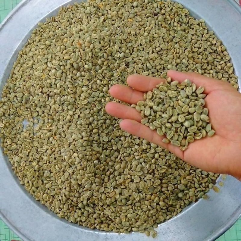 1kg nhân sống Cafe arabica chất lượng cao