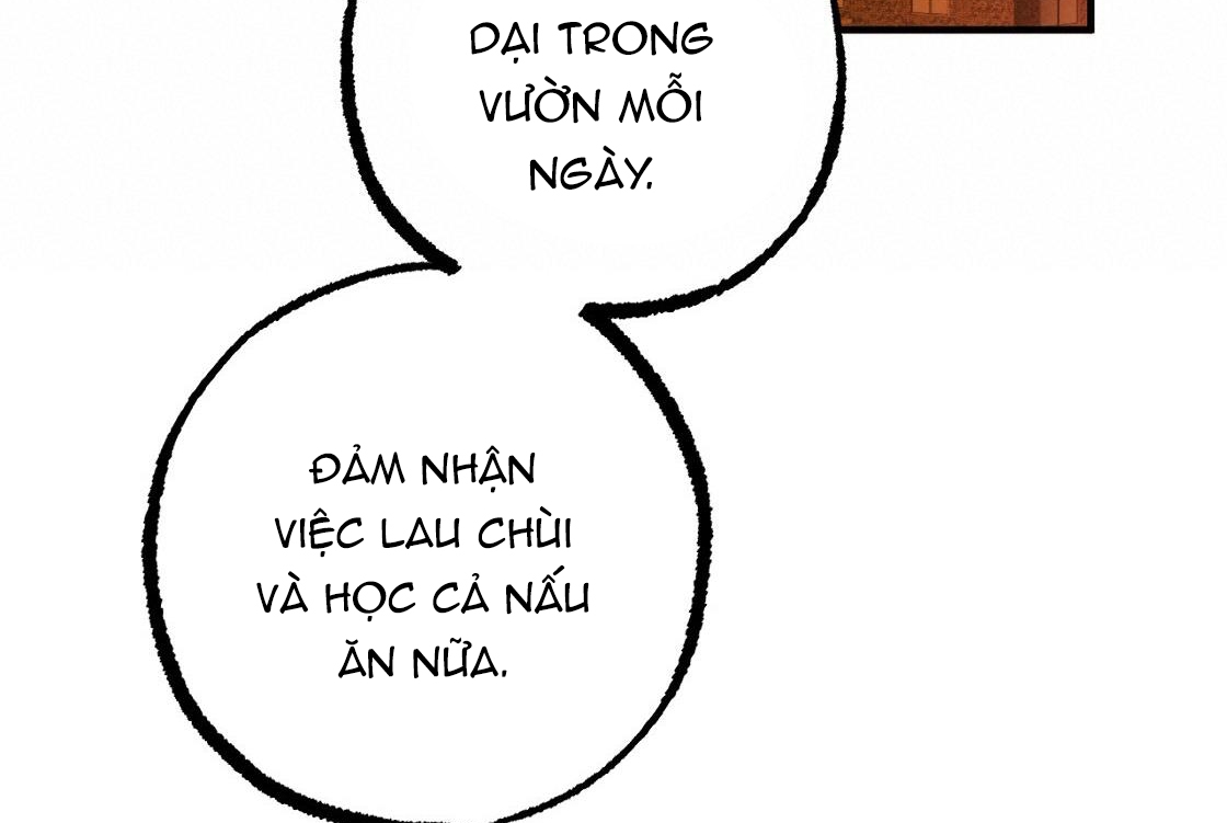 đàn thỏ của habibi chapter 24 255