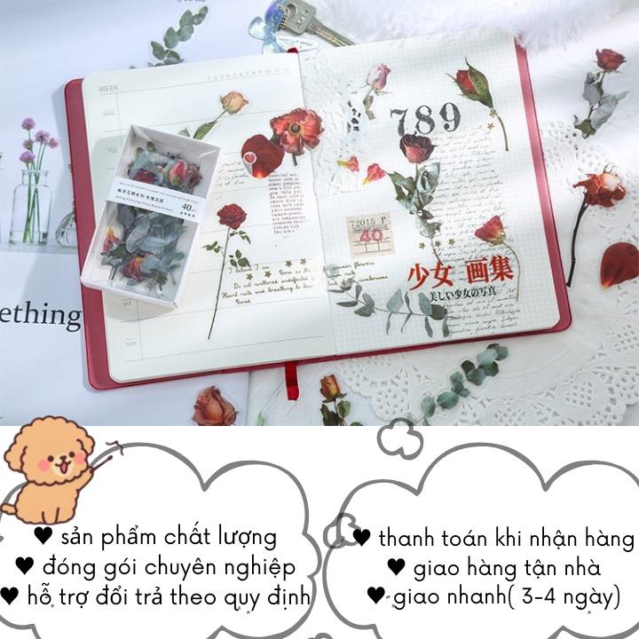 Sticker Hoa Lá Chống Nước PET Dán Sổ Trang Trí Bullet journal Kiểu Vintage ST5