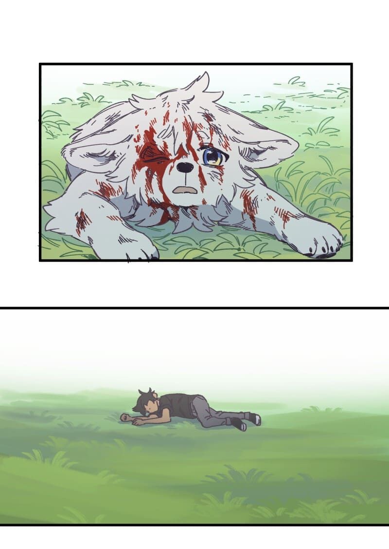 lumine - cội nguồn ánh sáng chapter 134 42