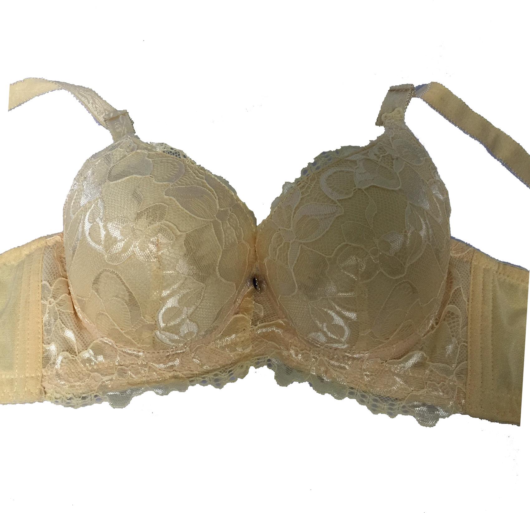 ÁO LÓT bảng to ba móc form bự mút dày tạo khe mã EC2634