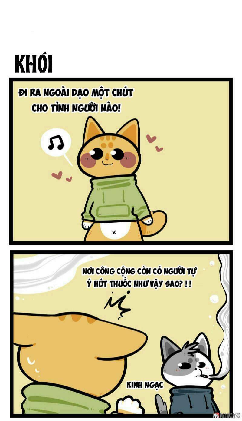 đời không như mình tưởng chapter 59 2