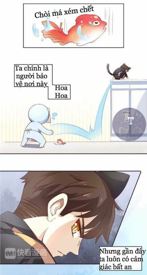 dưới móng vuốt mèo chapter 2 6