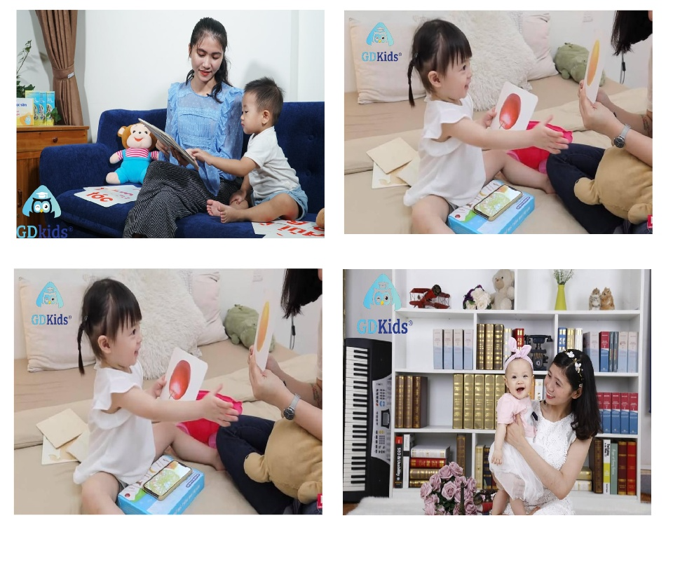 Thẻ Học Thông Minh Flashcard - Combo 3 Bộ Thẻ Flashcard Cơ Bản Theo Phương Pháp Glenn Doman