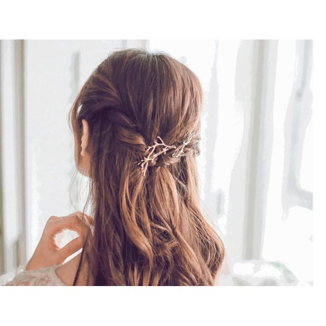 Kẹp tóc thời trang KAH44