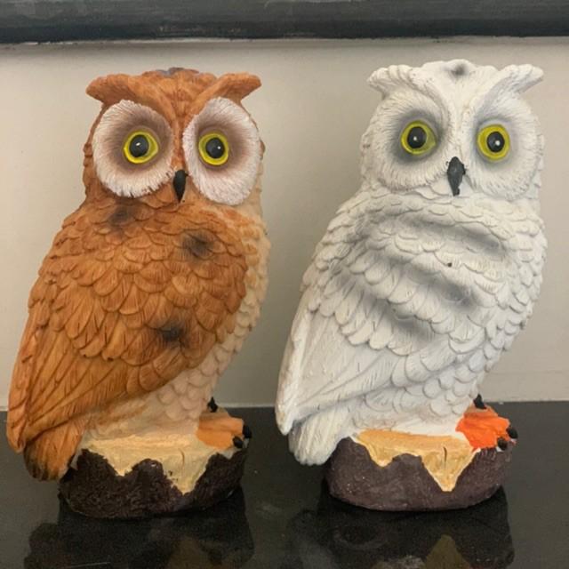 Tượng chim cú mèo nhiều mẫu Owl Figurines