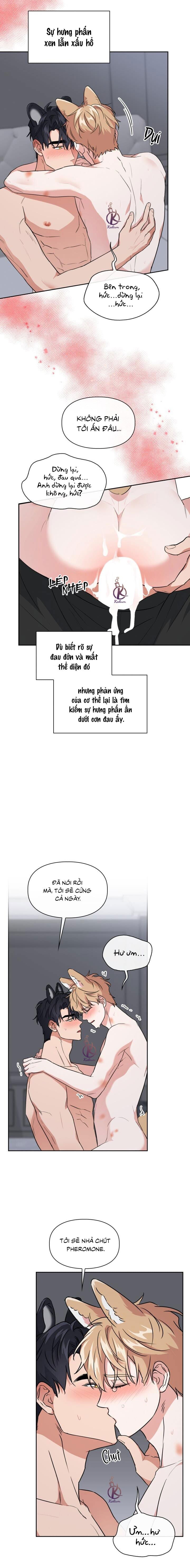 mồi nhử chapter 64 5