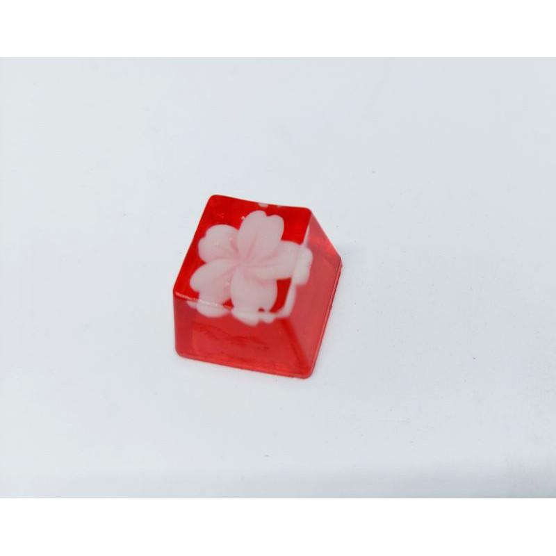 Keycap hoa đào trắng nền đỏ trang trí bàn phím cơ gaming