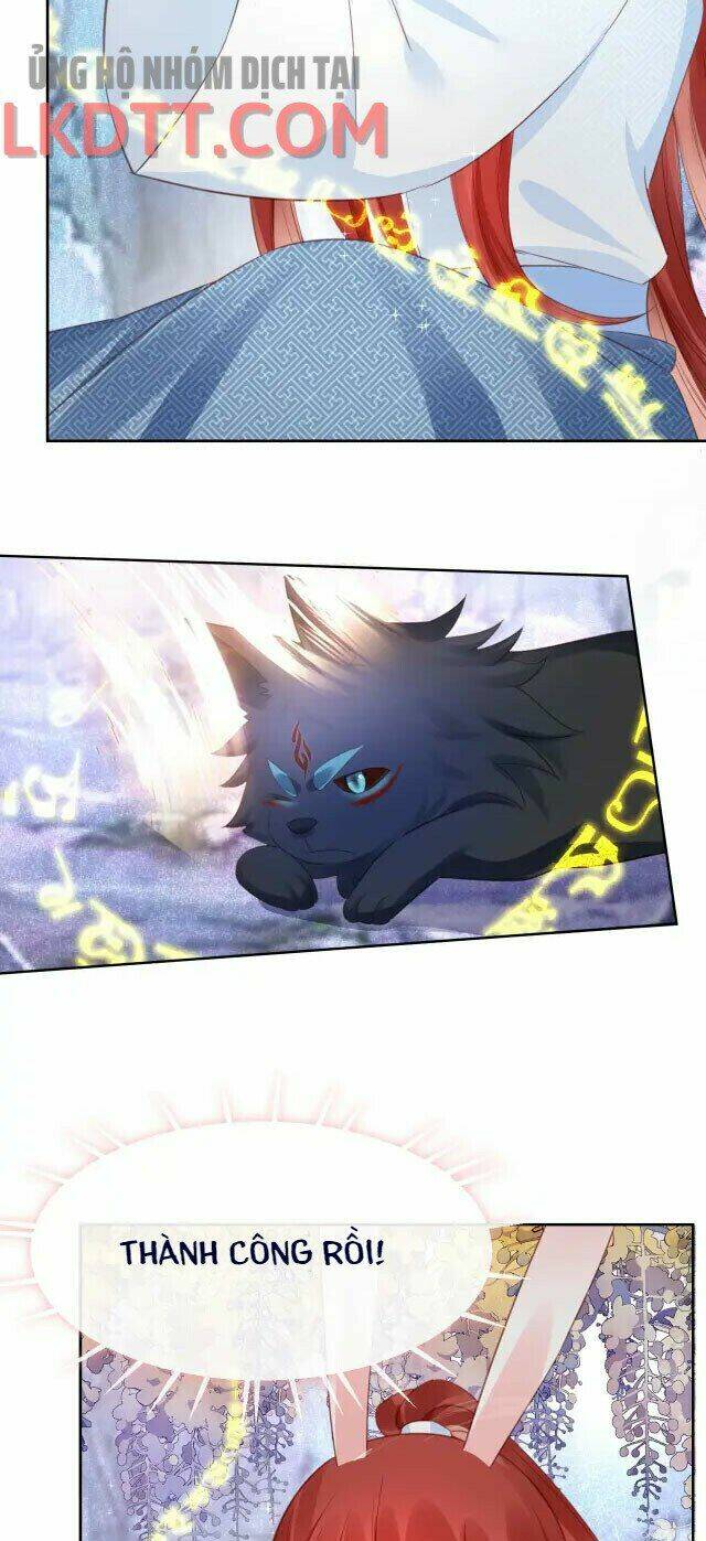 hắc hóa nam chính trực tuyến nuôi thỏ chapter 23 21