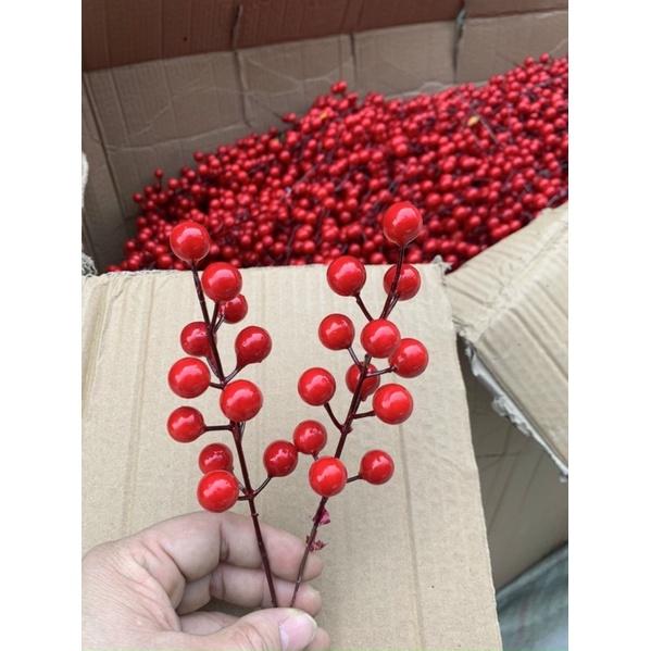 Cành quả cherry, cành đào đông nhánh Nhỏ trang trí Tết, noel vòng nguyệt quế