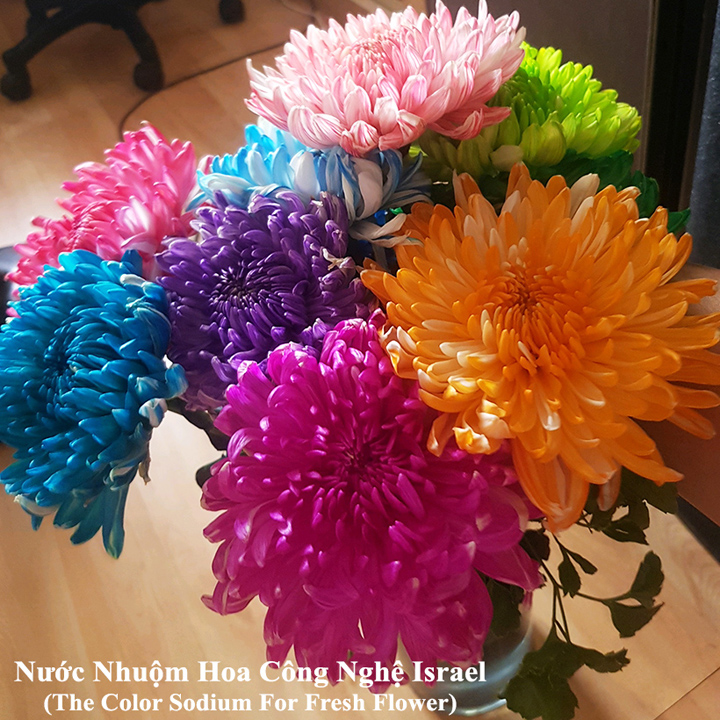 Nước Màu Nhuộm Hoa Tươi Màu Cam Israel (Chai 1 Lít) Color Sodium For Fresh Flowers