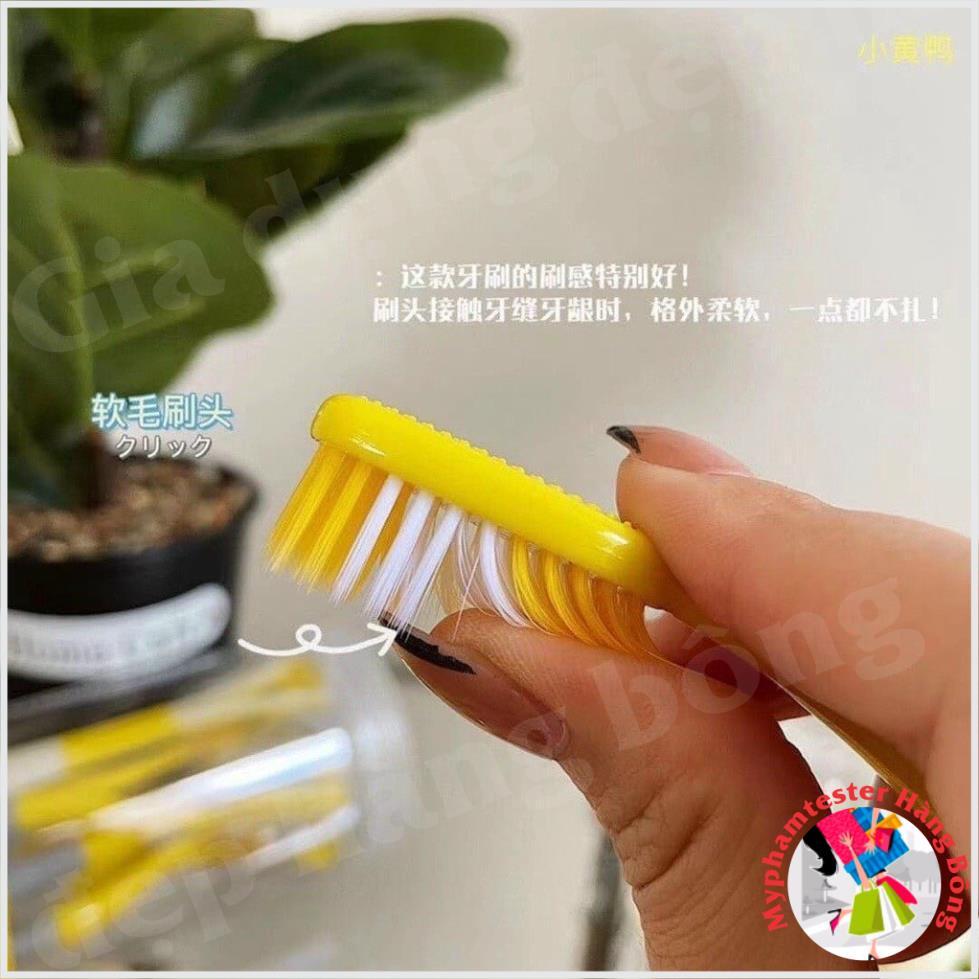 Bàn chải Vịt vàng G.DUCK kèm cạo lưỡi 2in1