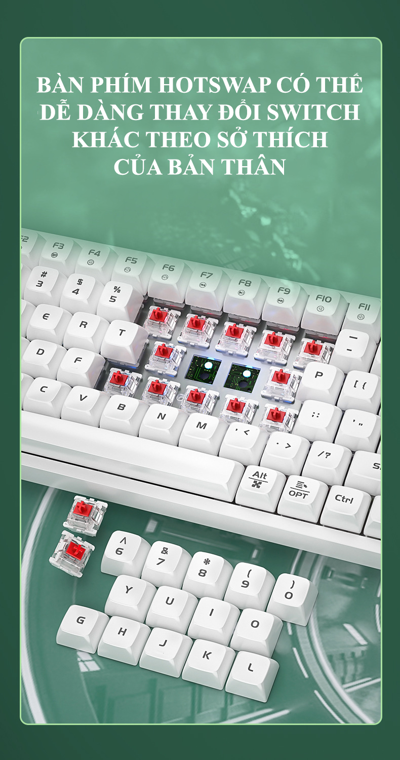 Bàn phím cơ red switch LANGTU GK85 với nhiều chế độ đèn led cực đẹp và có hotswap có thể thay switch theo sở thích - Hàng Chính Hãng