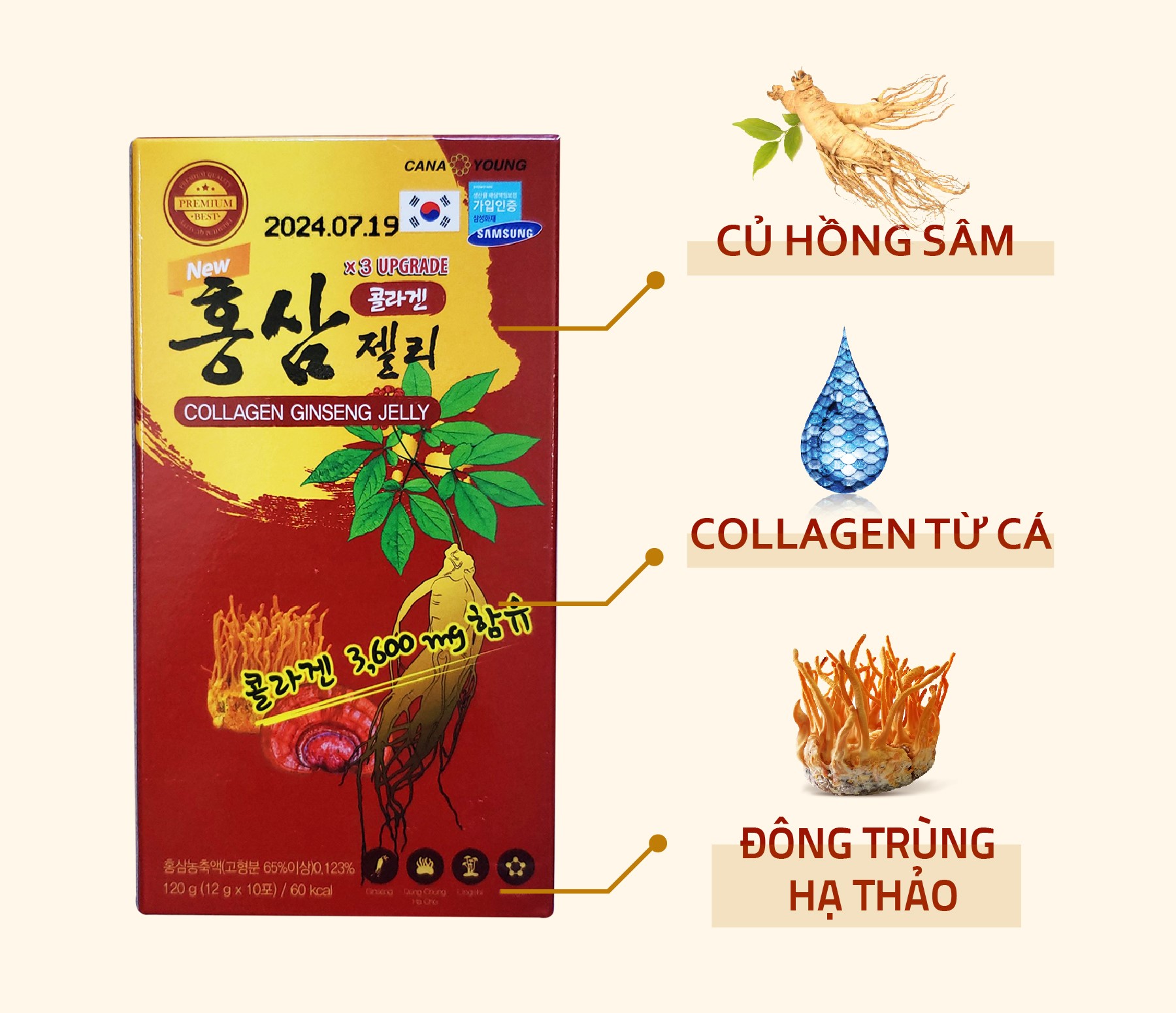 Thạch ăn New Collagen Jelly Cana Young Hàn Quốc hỗ trợ trẻ hóa da và tăng cường hệ miễn dịch (hộp 10 gói