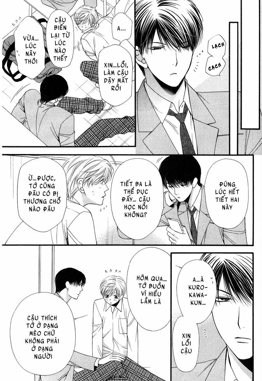 neko neko honey chapter 12 21