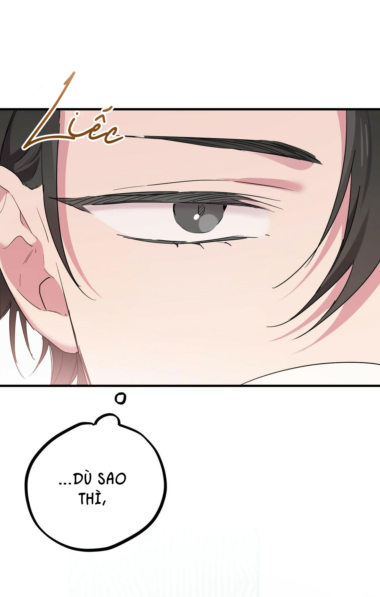 những chú thỏ của hapypy chapter 13 20