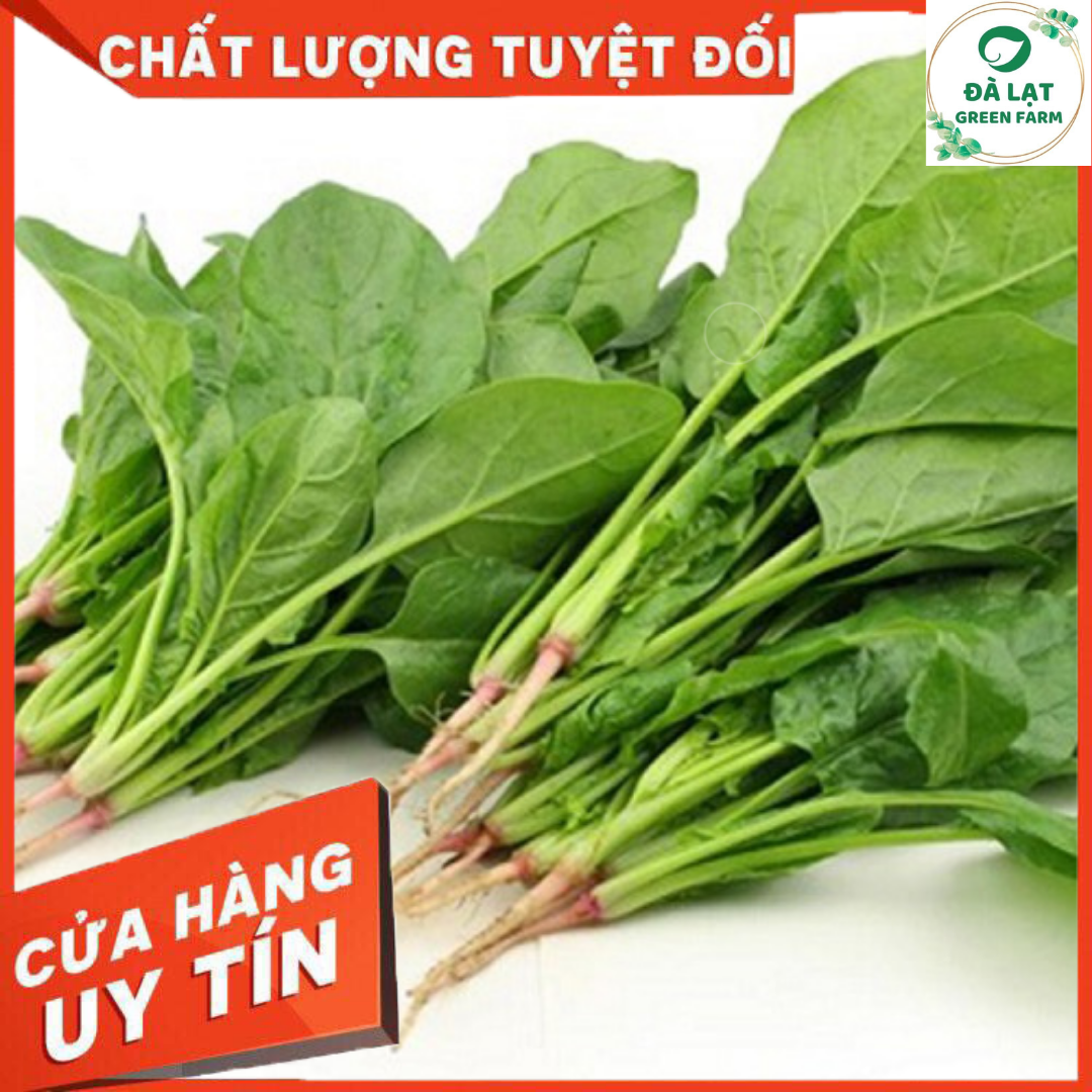 Hạt giống Cải Bó Xôi - 5Gram (nảy mầm chuẩn)