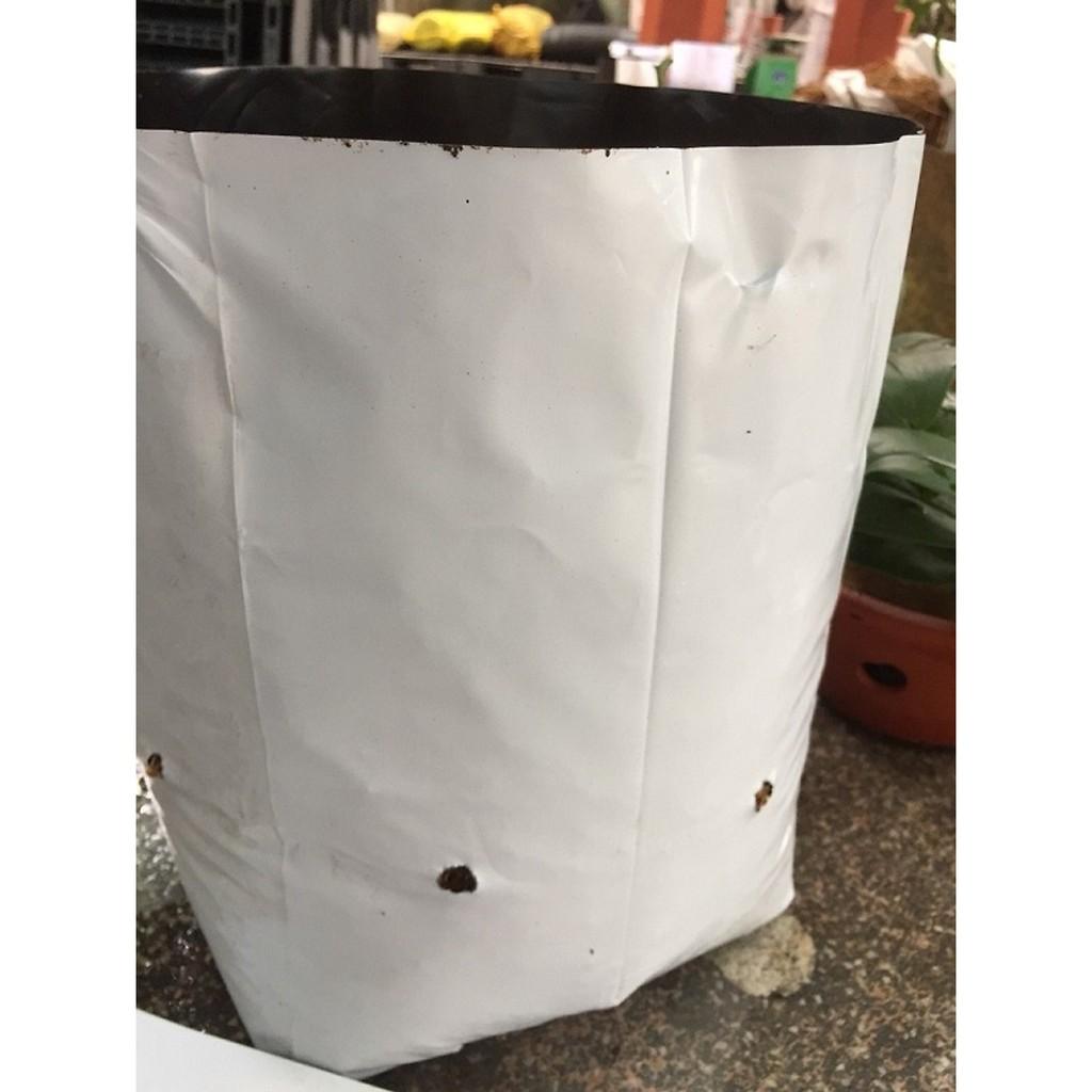 Túi trồng cây 40x40cm,Túi trồng dưa lưới,cây cảnh,cây ăn trái cở to