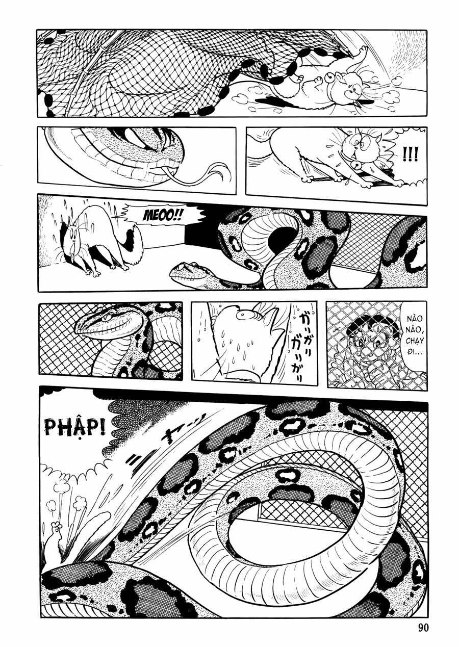 the crater chapter 3 25