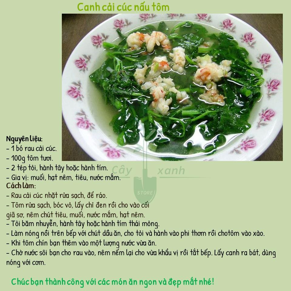 Hạt Giống Rau Cải Cúc Nếp, Tần Ô Lá Tròn 20Gr - Phú Nông Seeds
