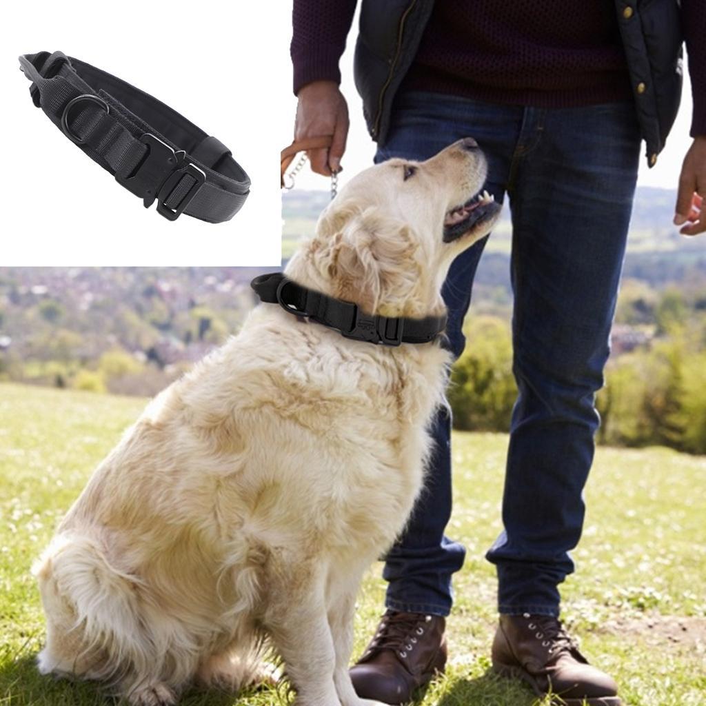 Dog Collar Classic Solid Colors with D-Ring for Medium Large Dogs Black