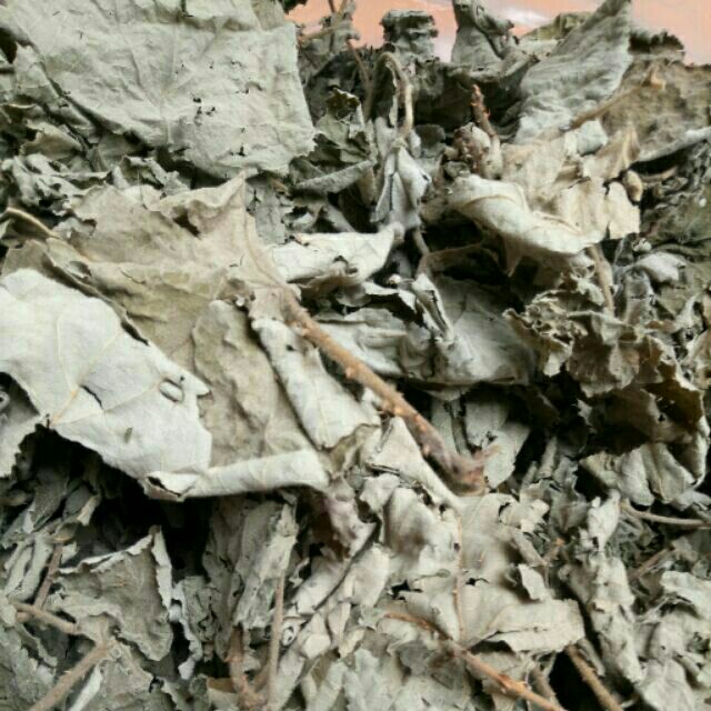 Trà túi lọc Lá mâm xôi rừng- Làm đẹp niêm mạc, hỗ trợ thả tự nhiên và chuyển phôi ivf, iui