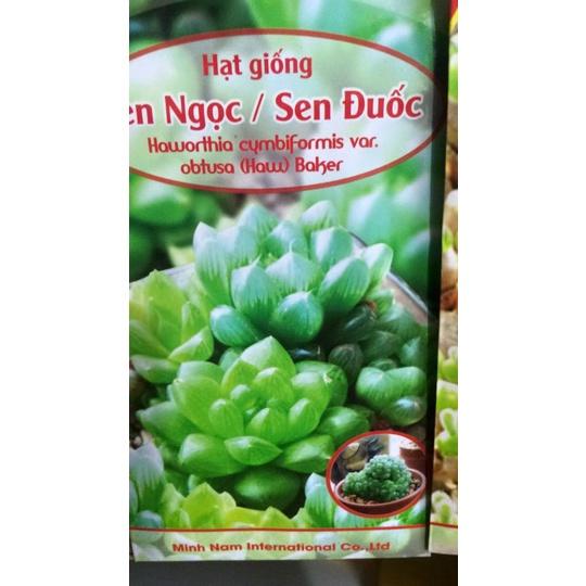 Hạt giống sen đá kim cương mix màu ( sen ngọc ) KNS3550 - Gói 200 hạt