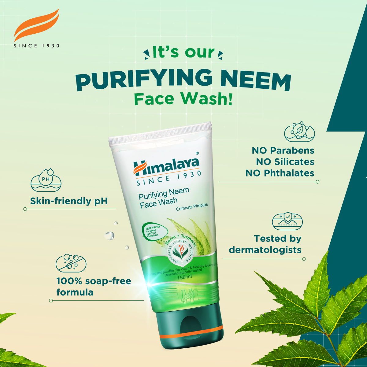 Sữa Rửa Mặt Neem Ngừa Mụn Trứng Cá Himalaya Herbals