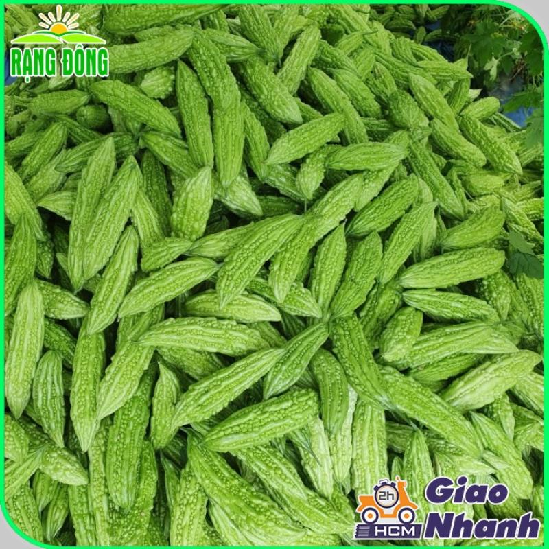 Hạt giống Khổ Qua Mỡ Trái Dài Chịu Nhiệt Tốt, Sinh Trưởng Khỏe, Trồng Quanh Năm - Hạt giống Rạng Đông