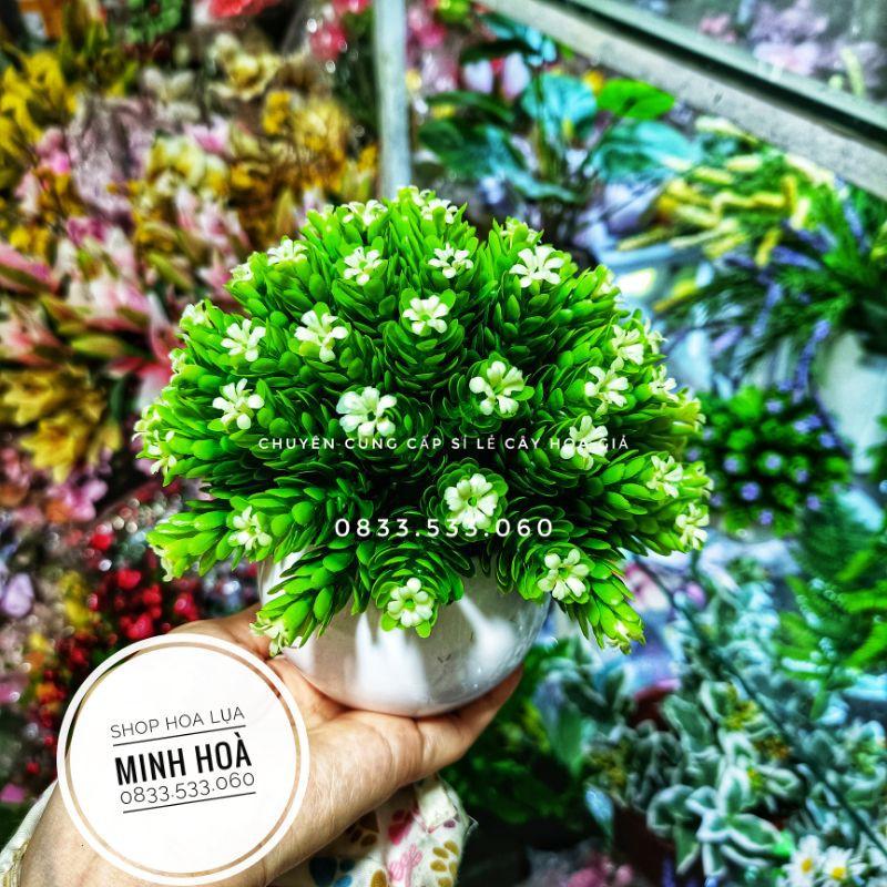 Chậu Hoa Gỉa Mini Trang Trí Bàn Học, bàn Làm Việc, văn phòng. Kích thước 15 cm * 17 cm. Đã kèm chậu. Hàng có sẵn