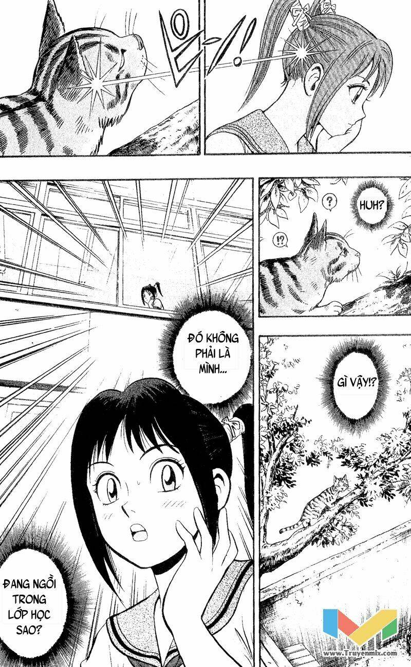 animal sense chapter 1 15