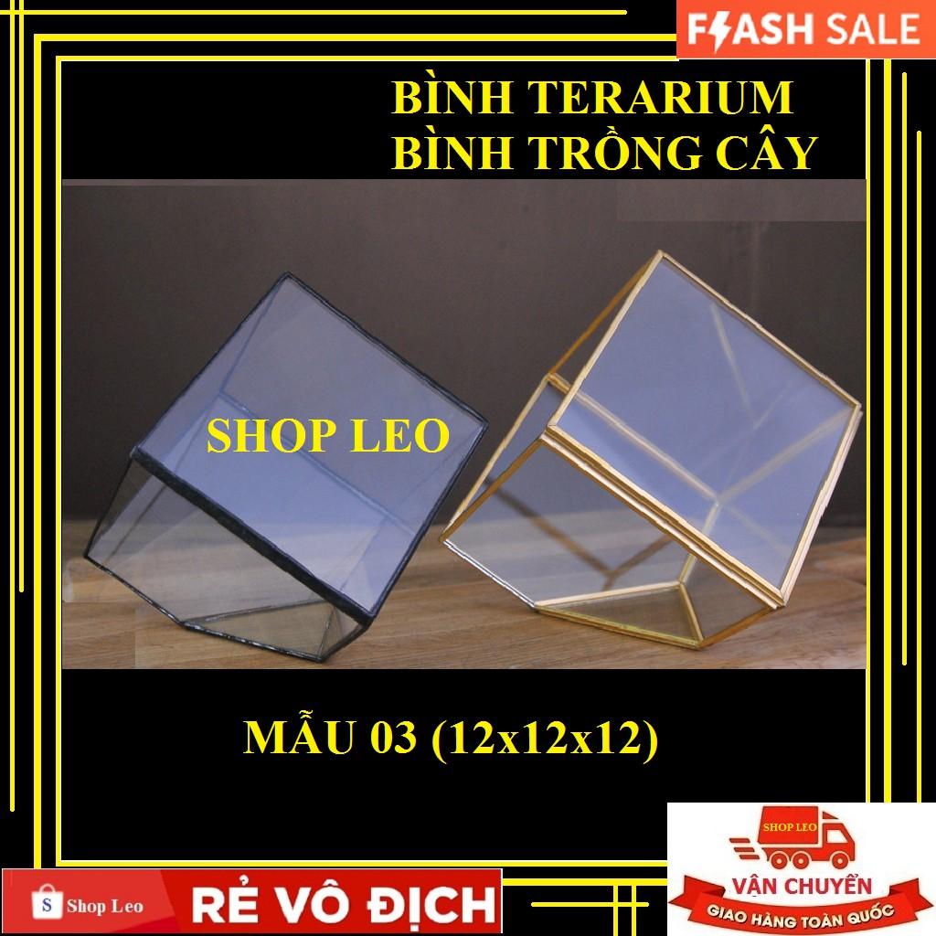 Bình TERRARIUM  - bình thủy tinh trồng cây - chậu kính hình học terarium