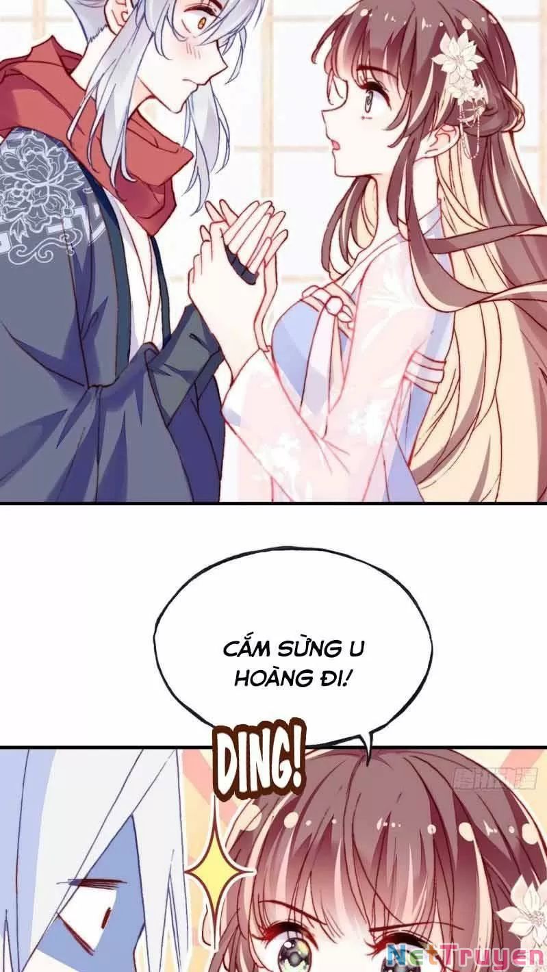 lại bị bệnh chiều chuộng quấn lấy chapter 0 15