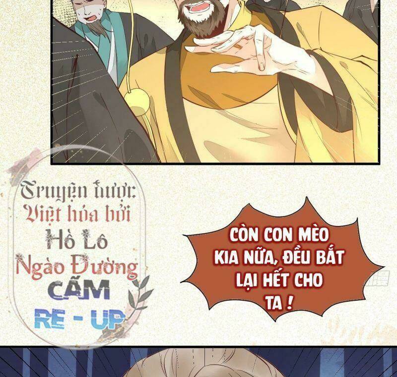 sát thủ vương phi không dễ chọc chapter 33 45