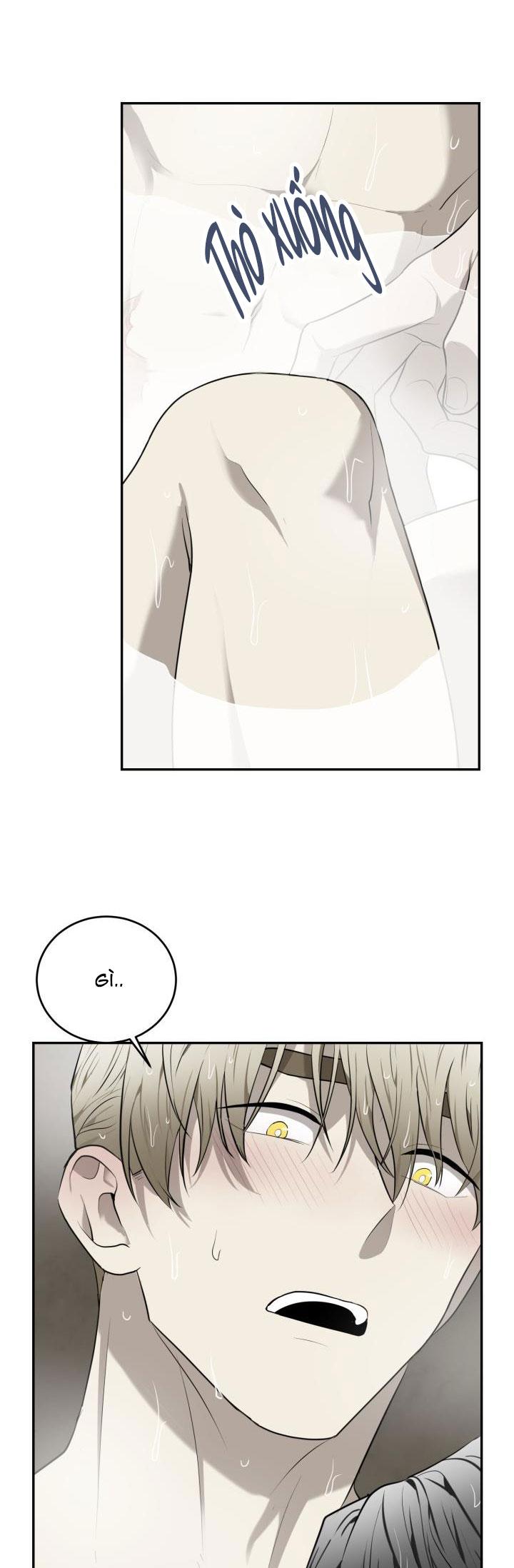 dưỡng thú cưng chapter 33 22