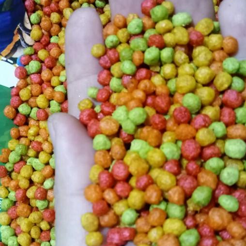 100g HẠT TRÁI CÂY cho GREEN CHECK, SUN, XÍCH, XÁM, LORY, RING NECK